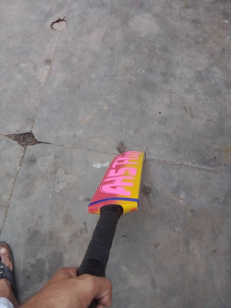 Cricket bat 3