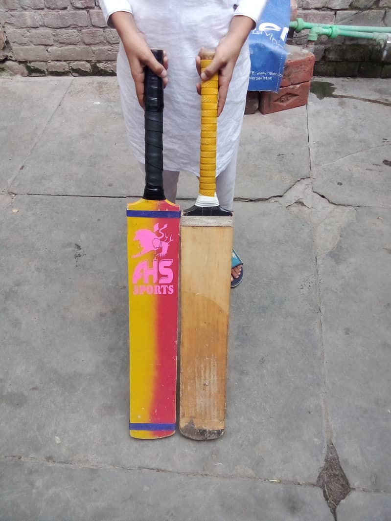 Cricket bat 6