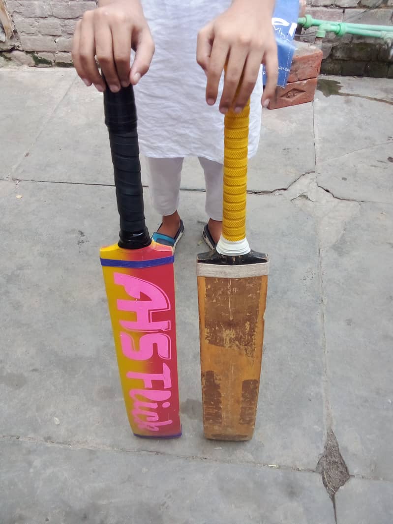 Cricket bat 8