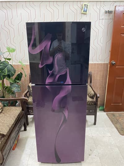 Pel Inverter Refrigerator Genuine