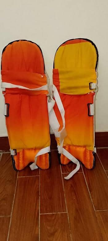 cricket kit 1