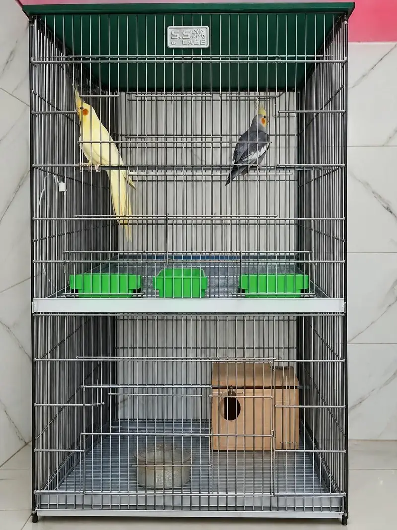 Cockatiel Pair Setup - Bada Pinjra aur Matki ke Sath — photo 2