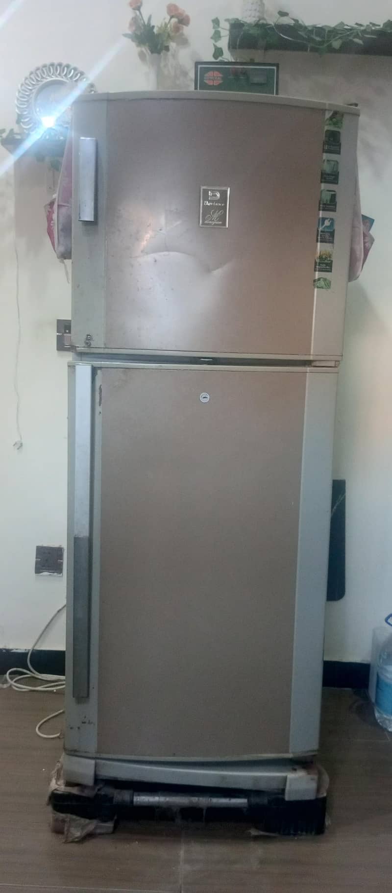fridge 3
