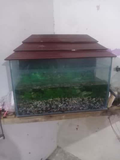 Aquarium