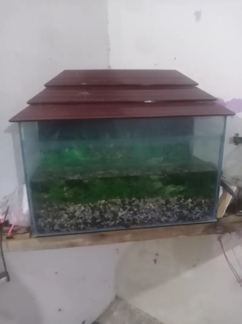 Aquarium