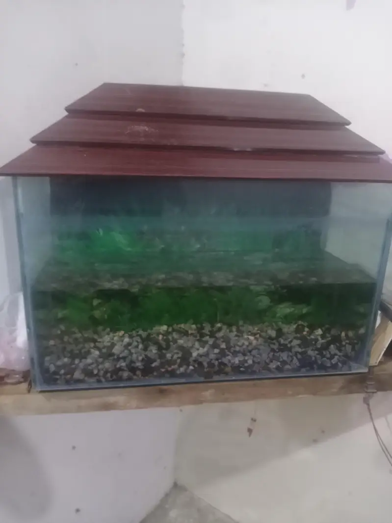 Aquarium — photo 2