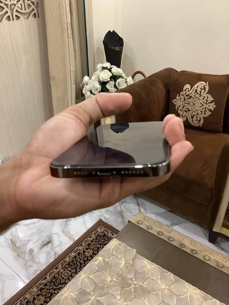Apple iPhone 12 Pro Max 1