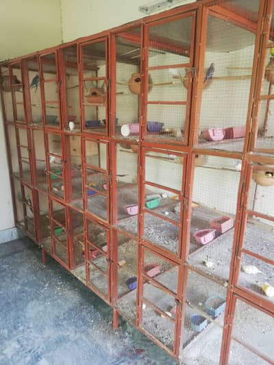 birds cage for sale. 15 khane Hain. i