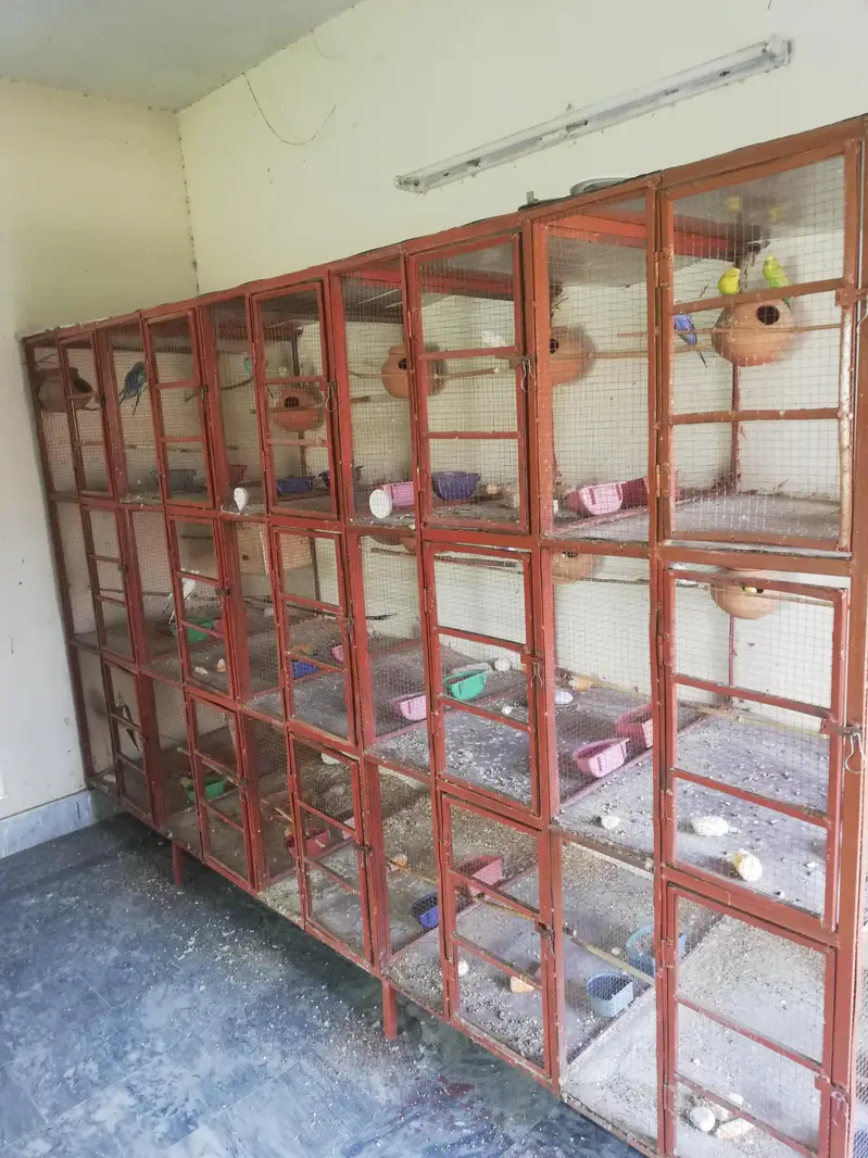 birds cage for sale. 15 khane Hain. i — photo 2