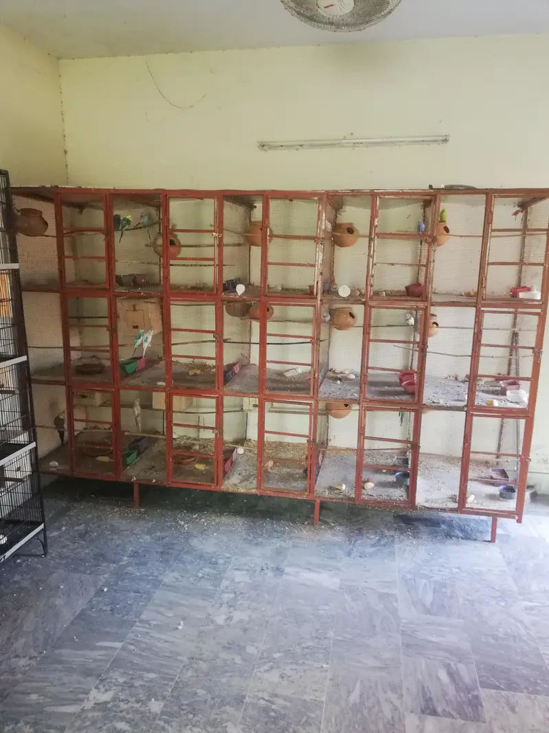 birds cage for sale. 15 khane Hain. i — photo 3
