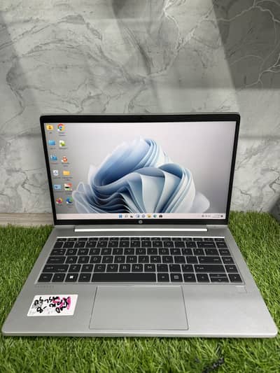 Hp Pro Book 445 G10 (Ryzen 5 7530U) (8/256)
