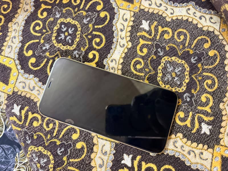 Apple iPhone 12 Pro Max 1
