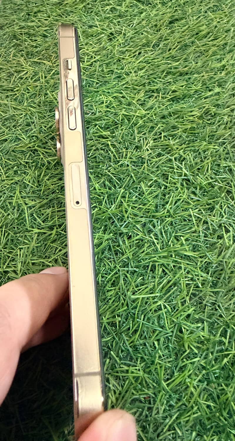 Apple iPhone 12 Pro Max 2