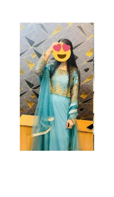Embroidered Net Maxi with dupatta- One time used- 10/10 condition