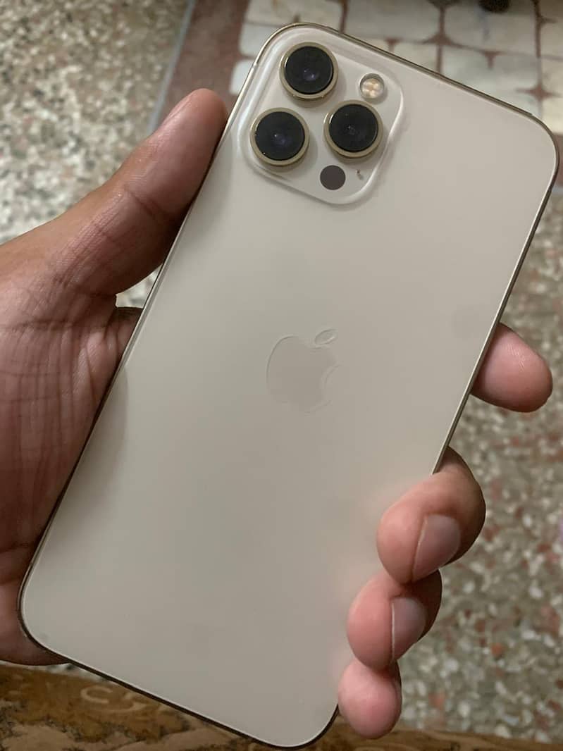 Apple iPhone 12 Pro Max 1
