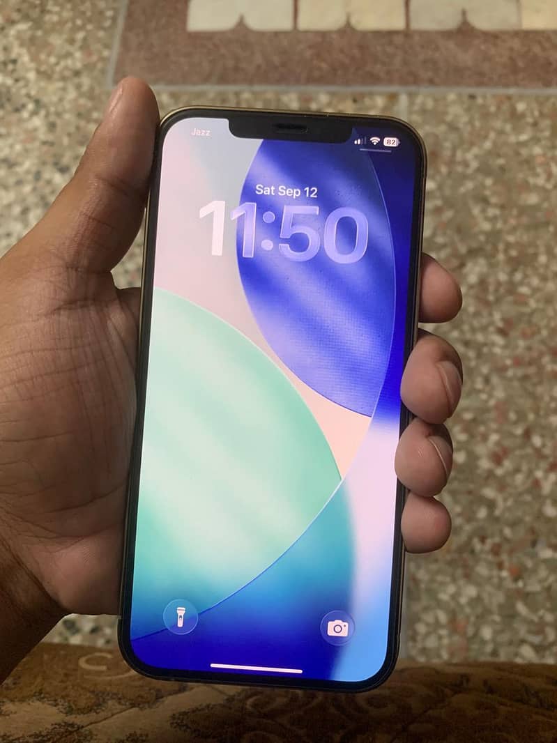 Apple iPhone 12 Pro Max 2