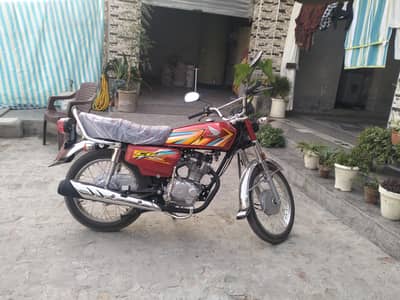 new candesan