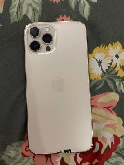 Apple iPhone 12 Pro Max