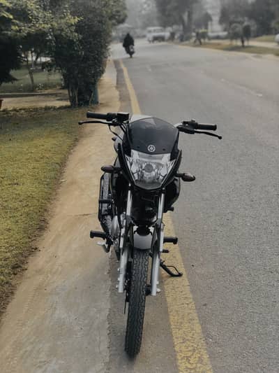Yamaha YBR 125 (Zero-meter)