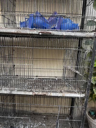 10 protion folding cage for sale