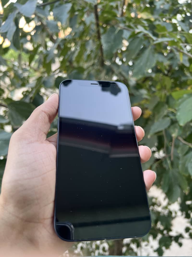 Apple iPhone 12 1