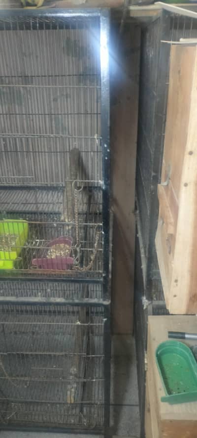iron angle cages for sale