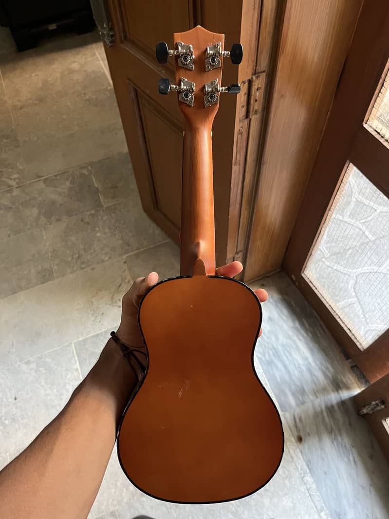 Ukulele 1