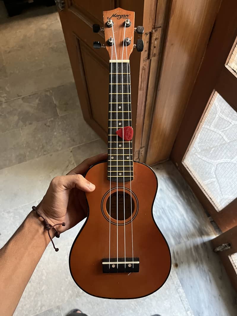 Ukulele 2