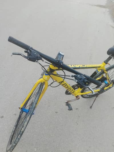 Coyote rasing cycle