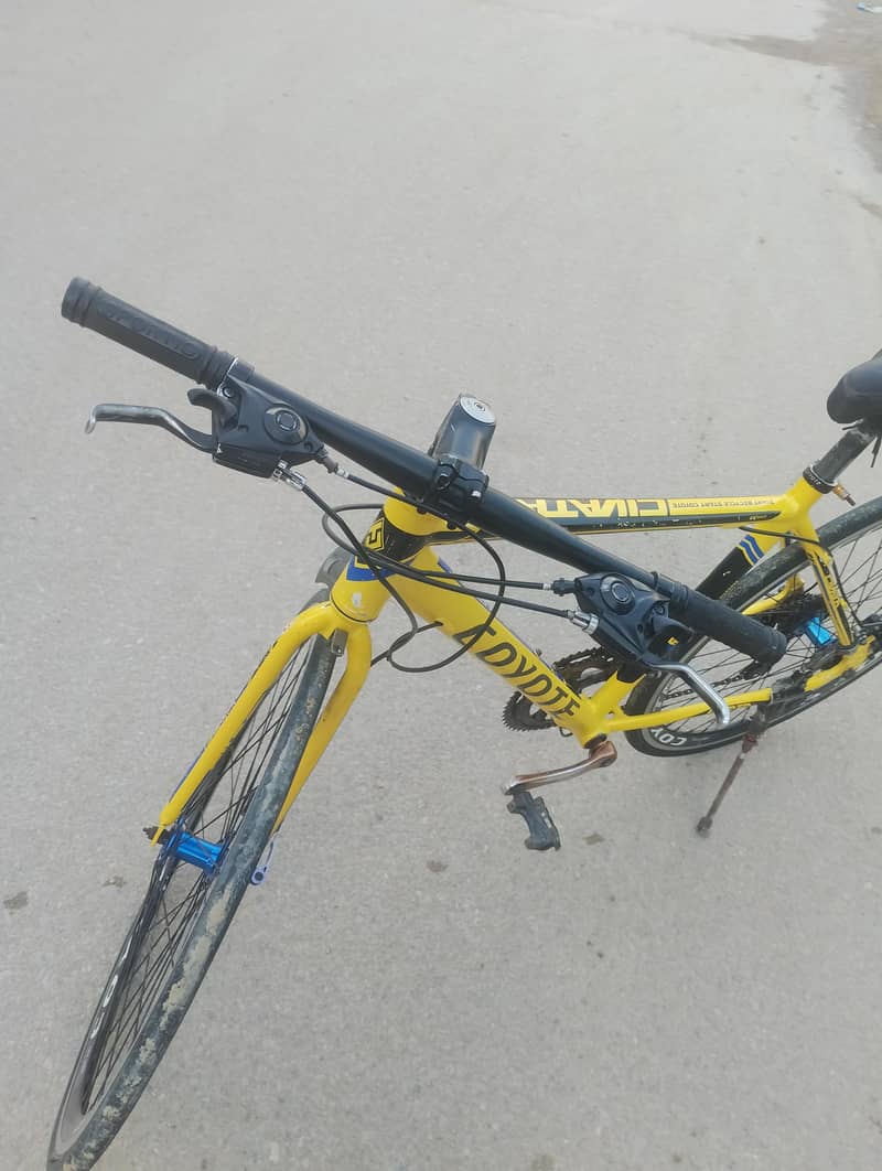 Coyote rasing cycle 0