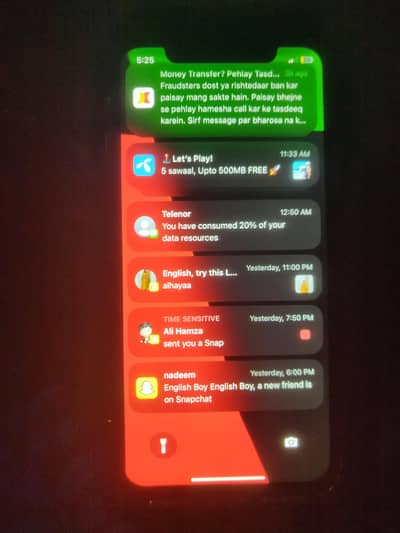 Apple iPhone X