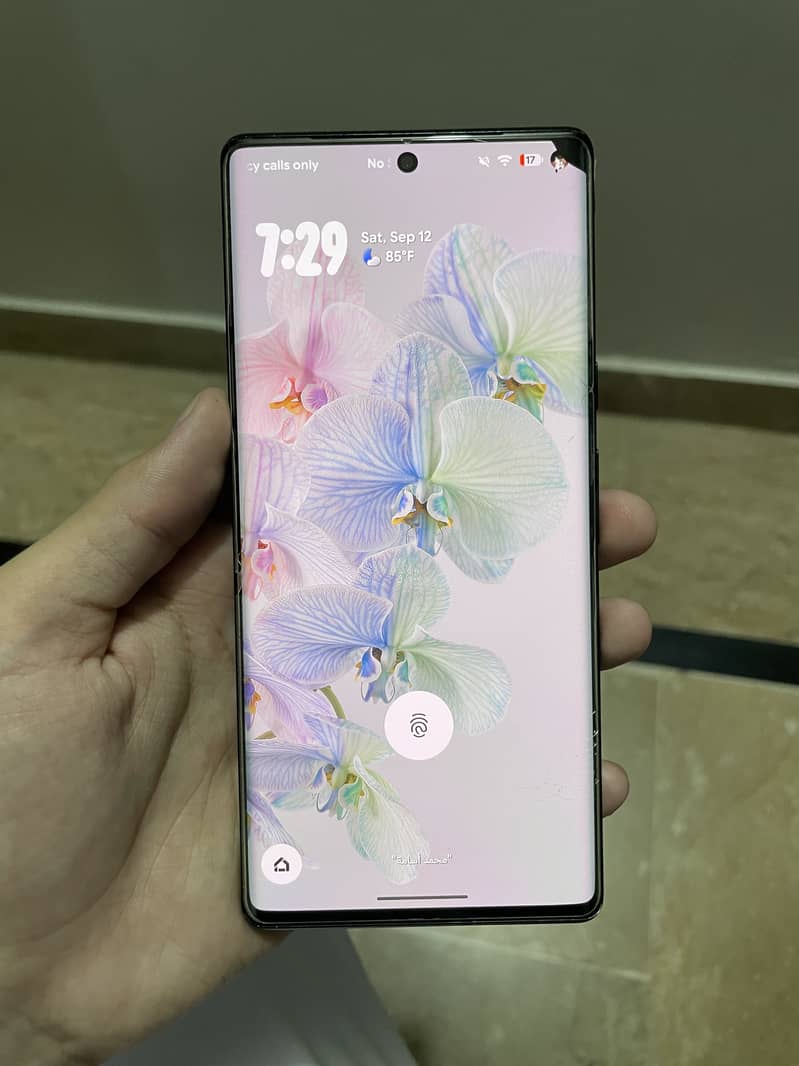 Google Pixel 6 Pro 1