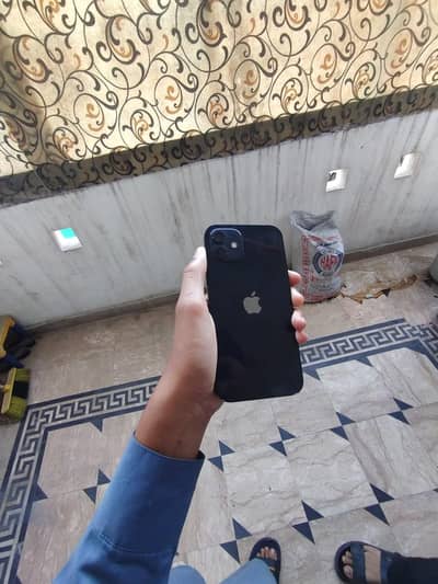 Apple iPhone 12