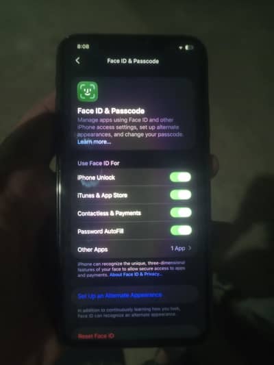 Apple iPhone 11 Pro Max