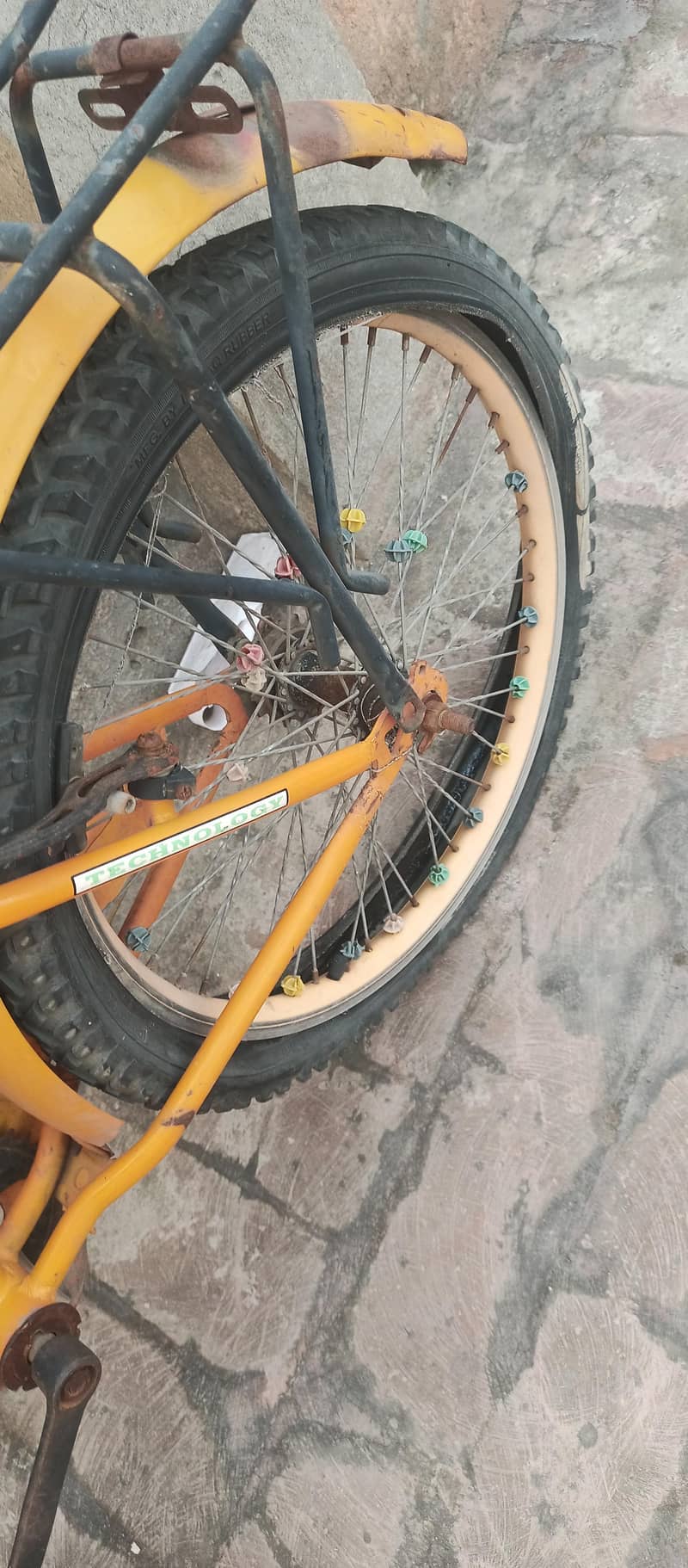 cycle 4