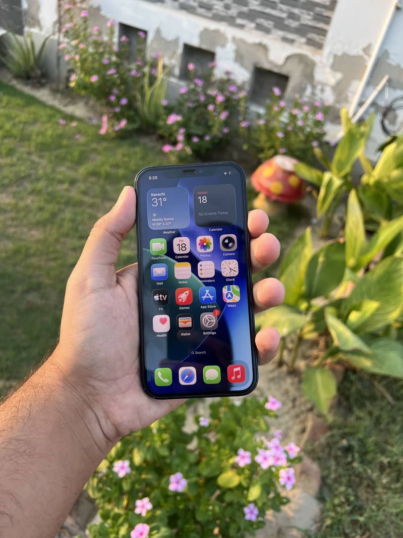 Apple iPhone 12 1