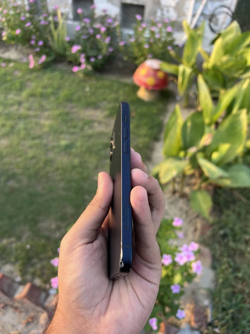 Apple iPhone 12 2