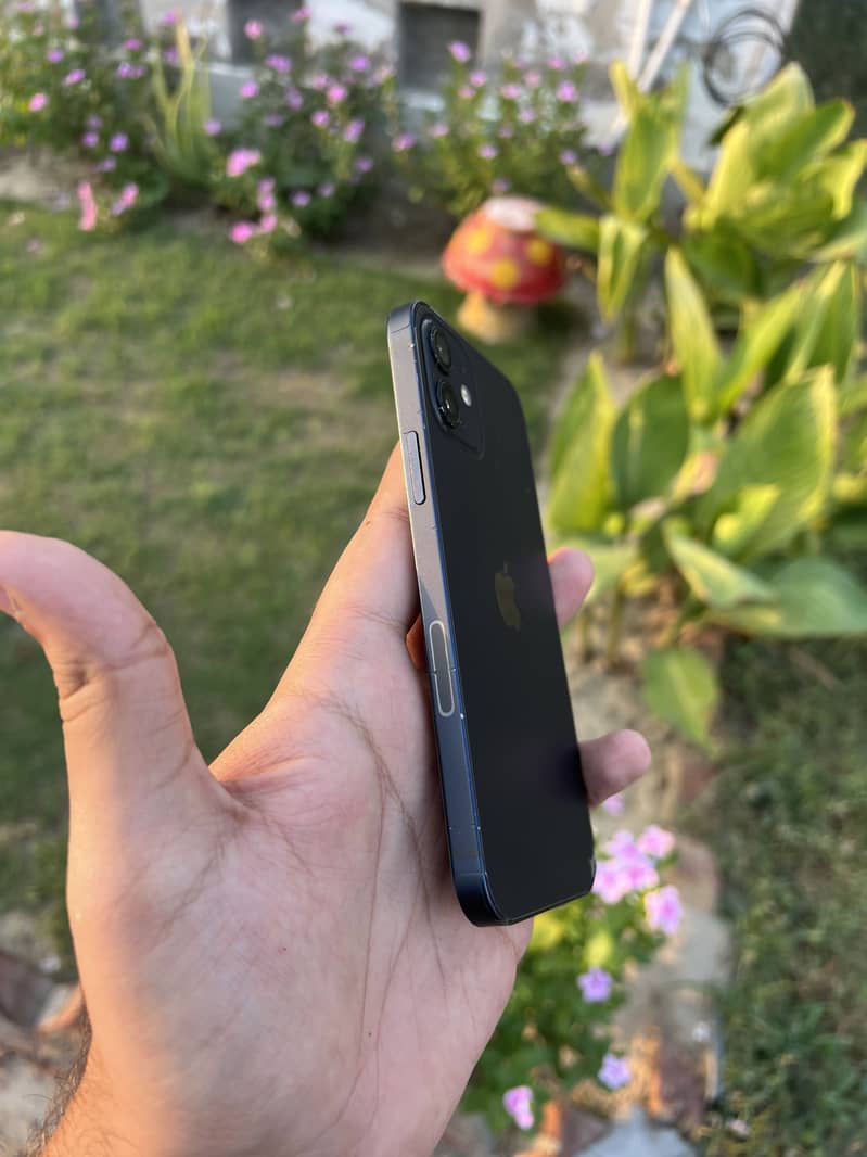 Apple iPhone 12 3