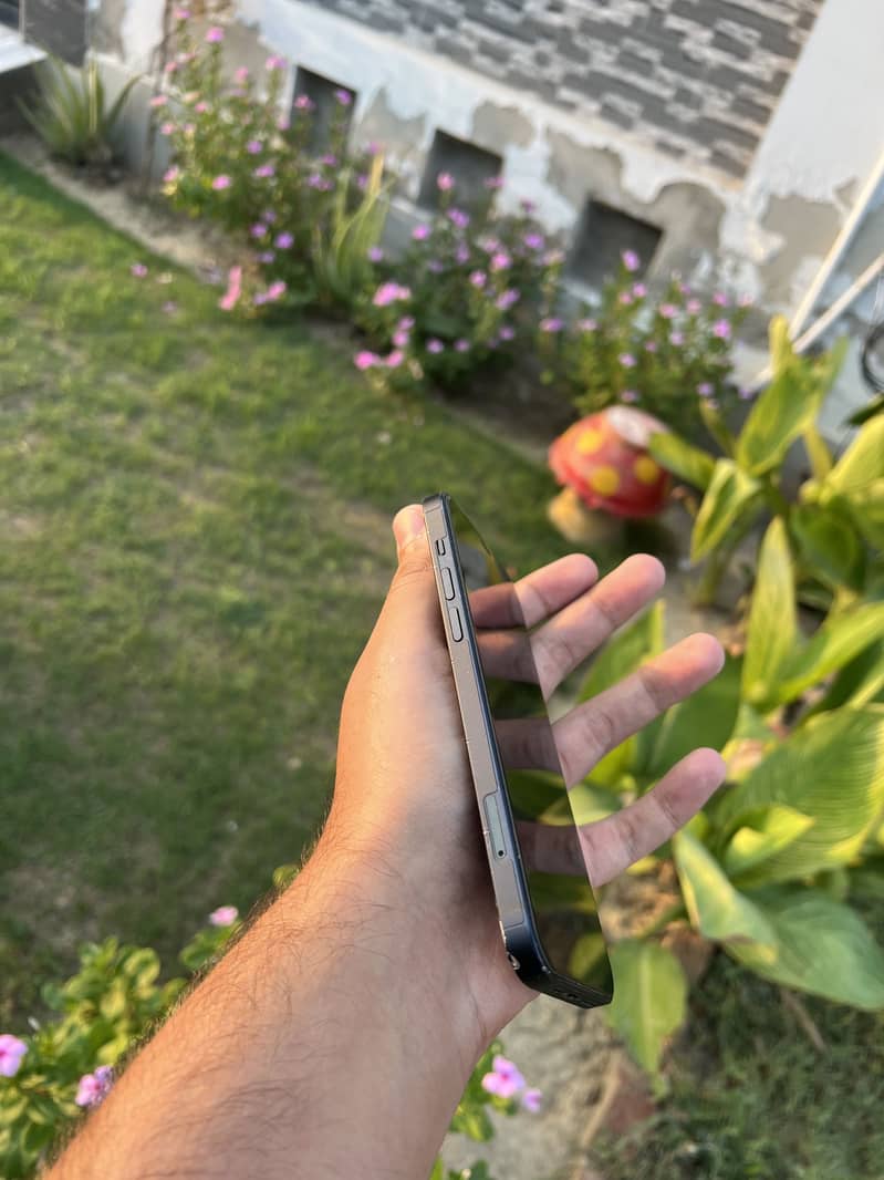 Apple iPhone 12 7