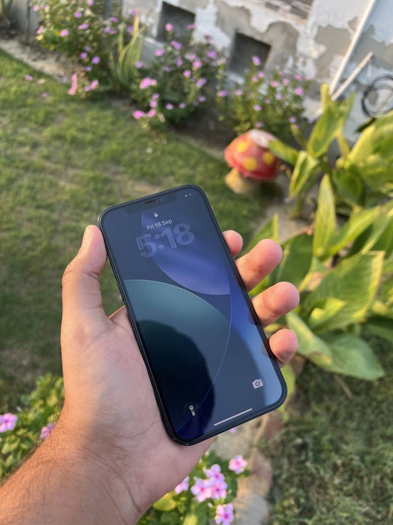 Apple iPhone 12 9