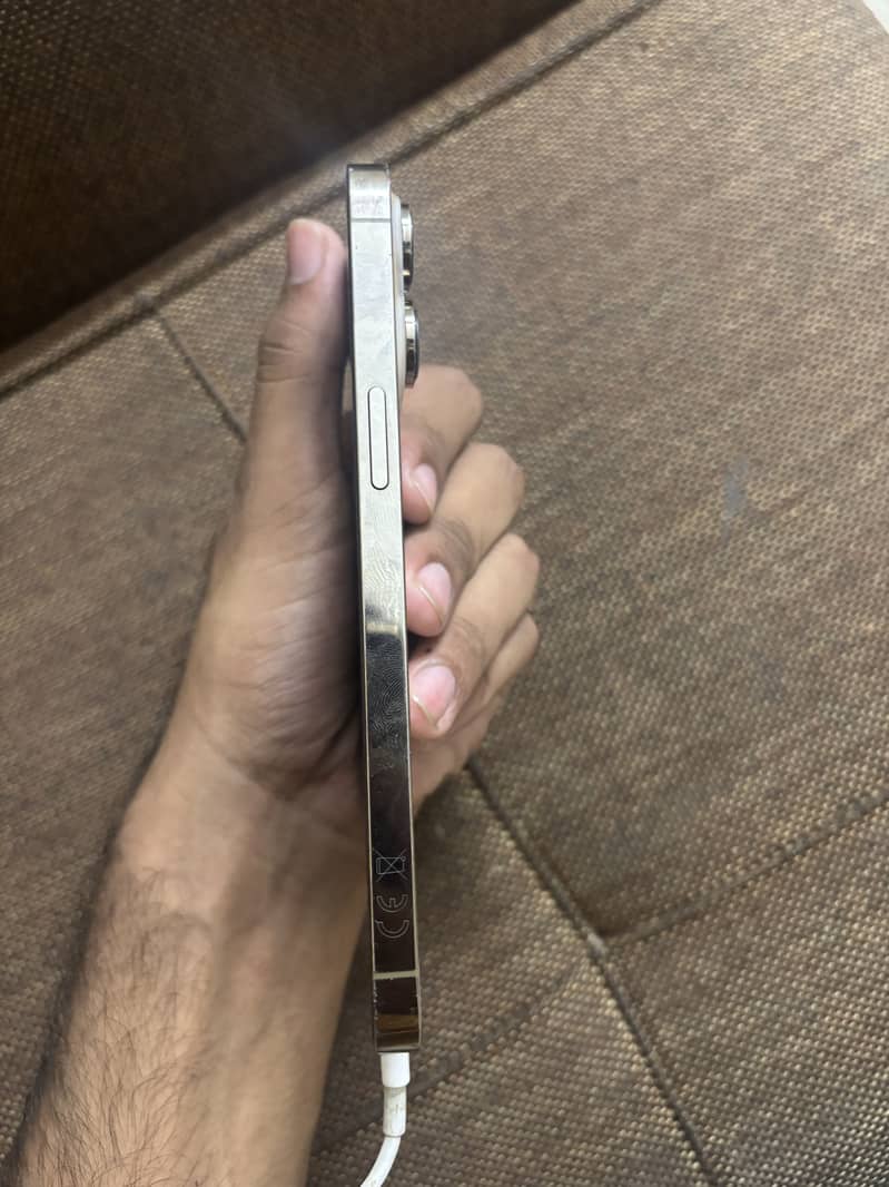 14 pro max 4