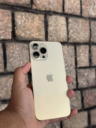 Apple iPhone 13 Pro Max