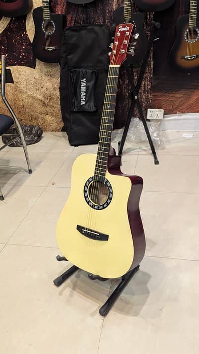 irin guitars| acoustic| intermediate | student guitar | Truss Rod Box