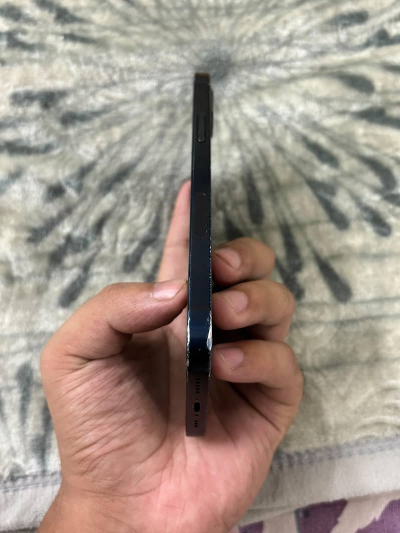 Apple iPhone 12 1