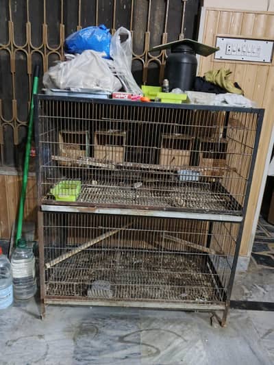 beautiful  bird cage (پرندوں کے لیے پنجرہ )