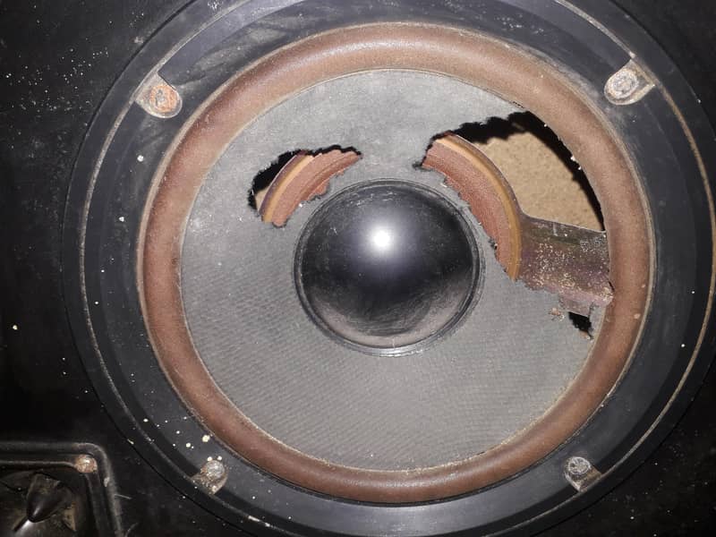 speakers 5