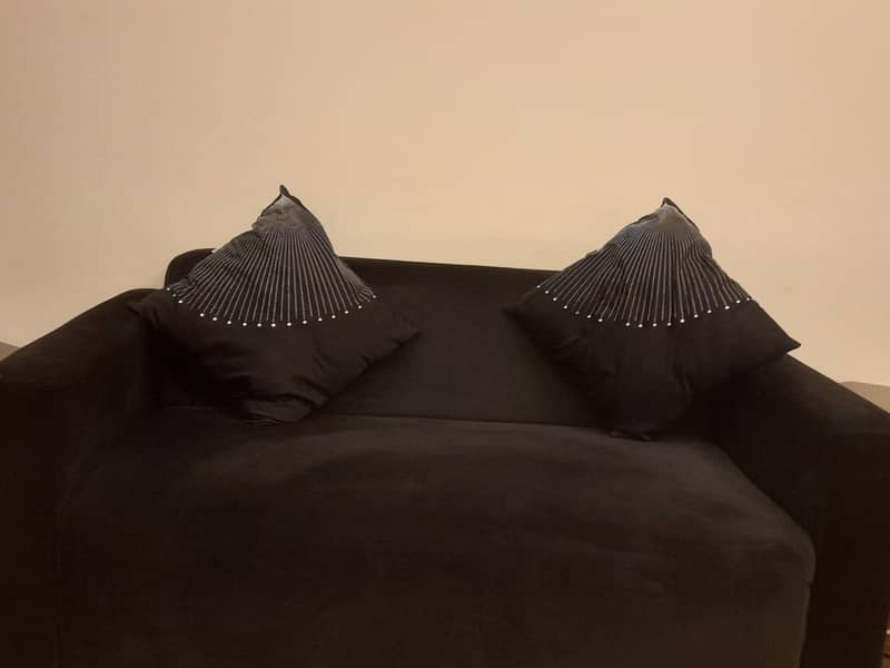 2 seater sofa (imported) 2