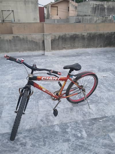 Giant Oval Sports Bicycle for Sale - Good Condition