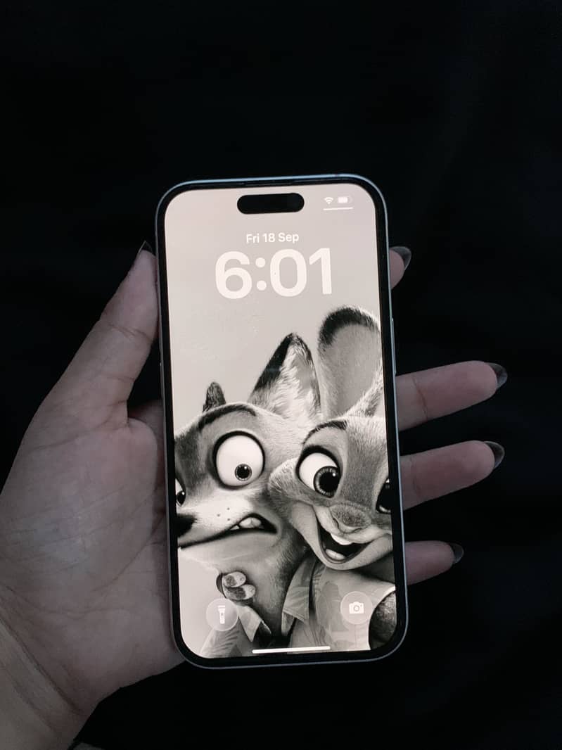 Apple iPhone 15 5