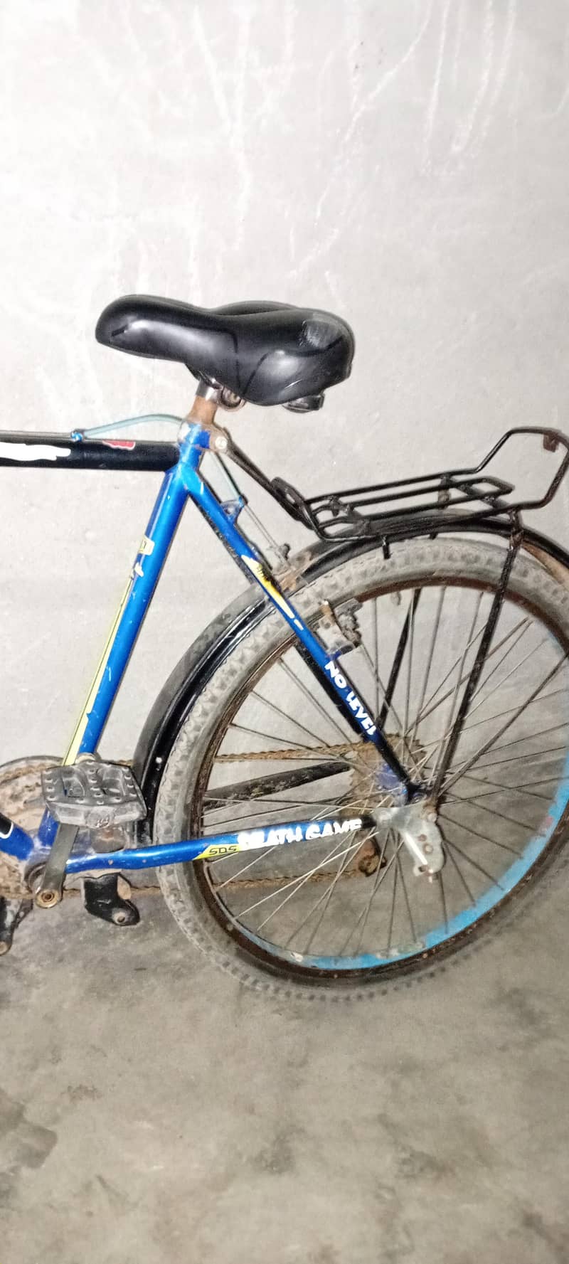 cycle 2025 model 1